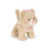 Rassel Katze "Activity Kitty" - little something