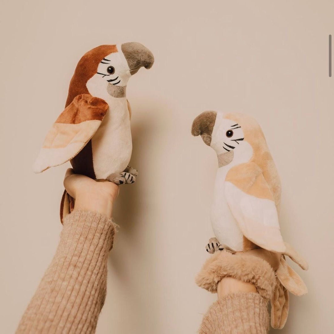 Sprechender Papagei - Pierre - little something