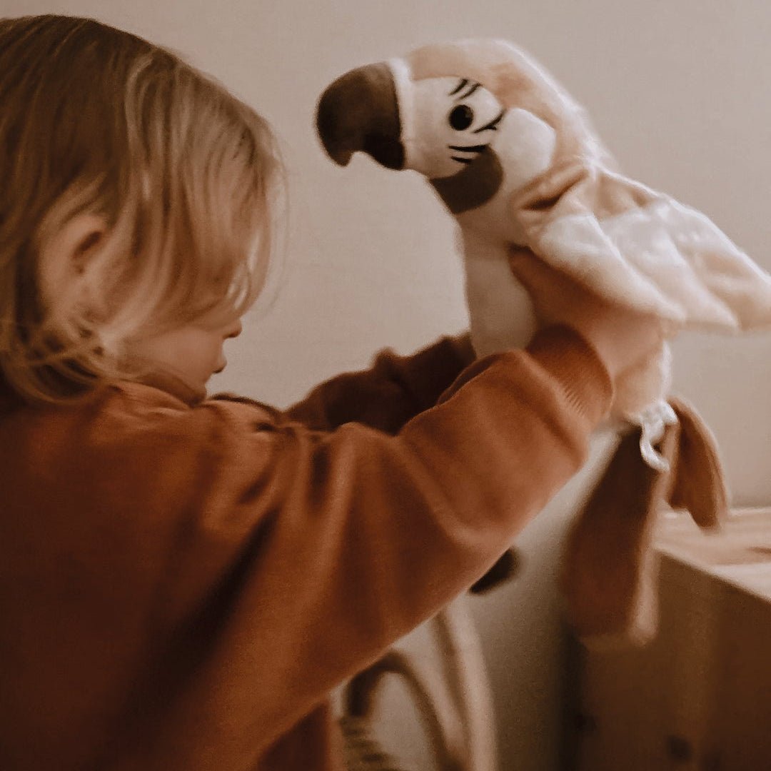 Sprechender Papagei - Pierre - little something